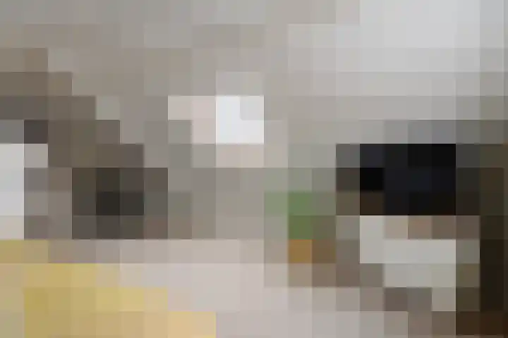 Torenvalk 43 Raalte thumbnail 27