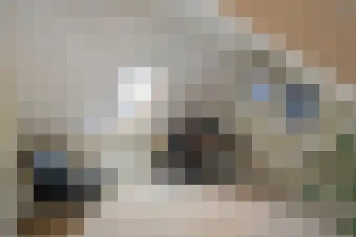 Torenvalk 43 Raalte thumbnail 32