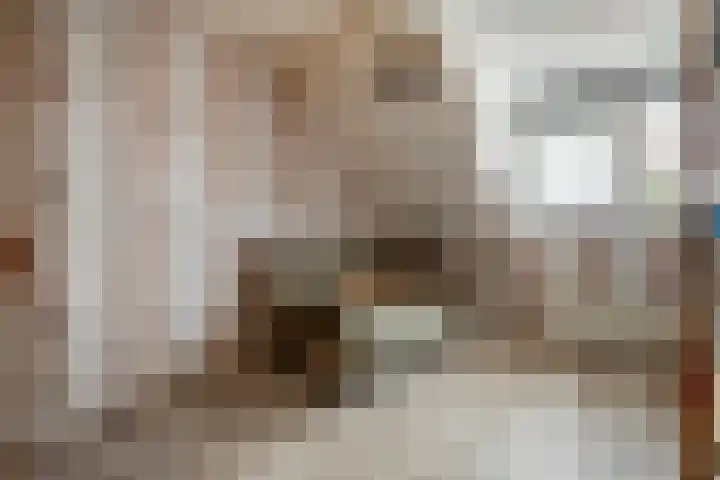 Torenvalk 43 Raalte thumbnail 34