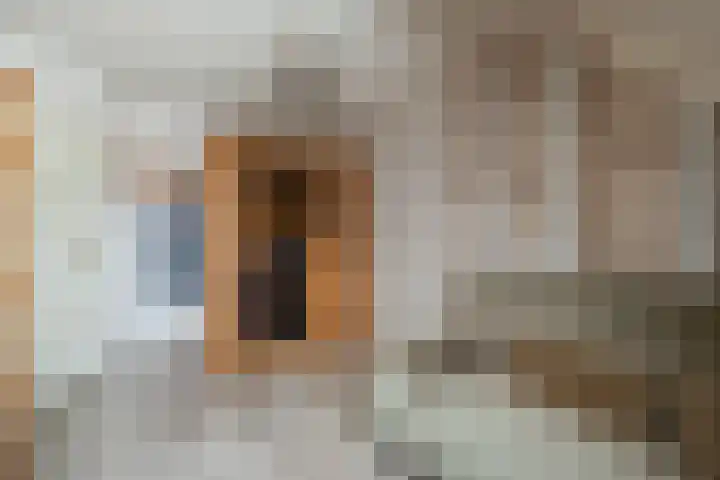 Torenvalk 43 Raalte thumbnail 35