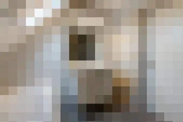 Torenvalk 43 Raalte thumbnail 39