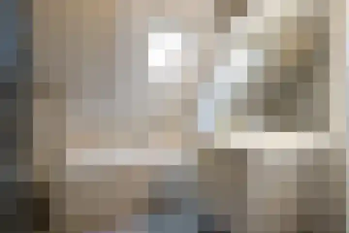 Torenvalk 43 Raalte thumbnail 41