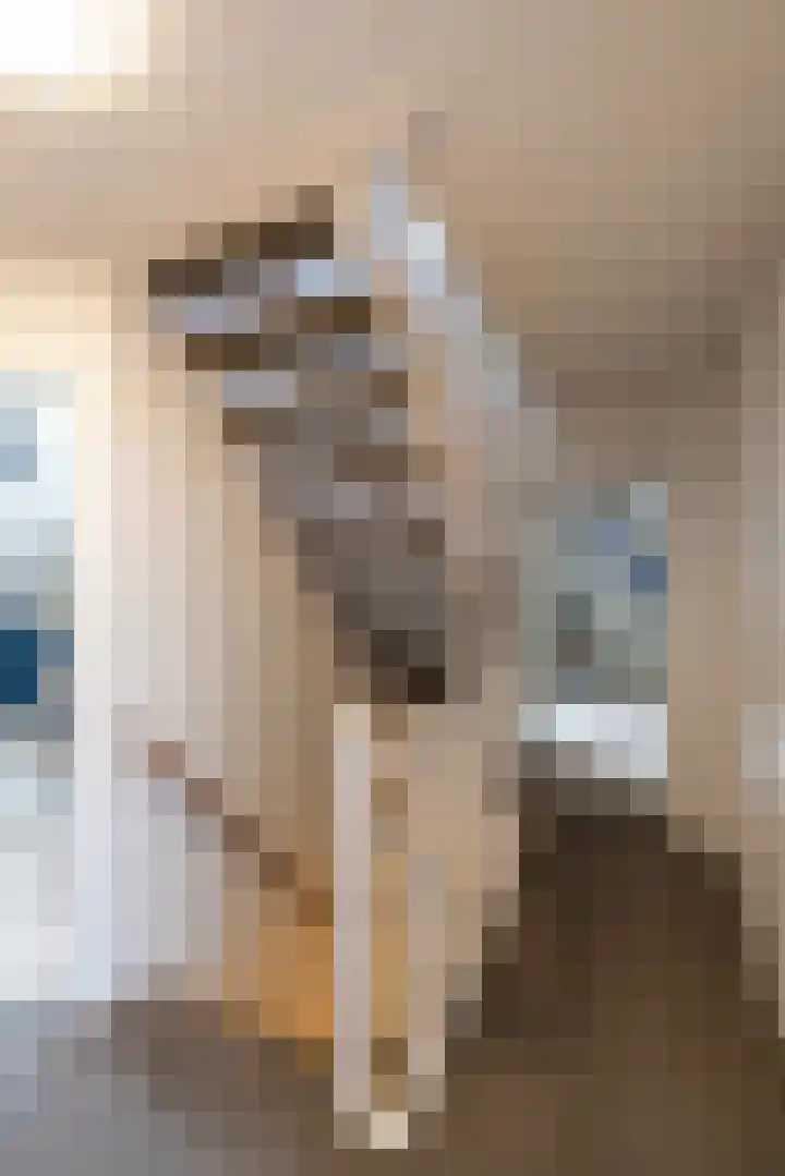 Torenvalk 43 Raalte thumbnail 44