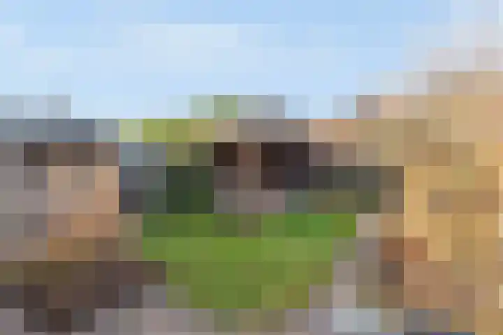 Torenvalk 43 Raalte thumbnail 46