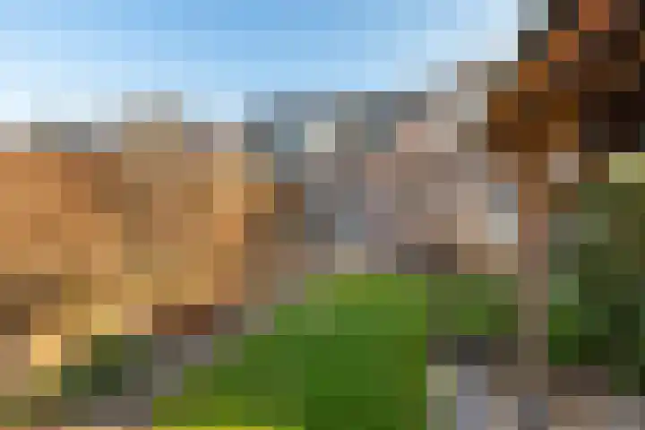 Torenvalk 43 Raalte thumbnail 47