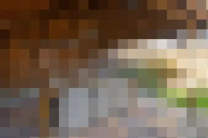 Torenvalk 43 Raalte thumbnail 48
