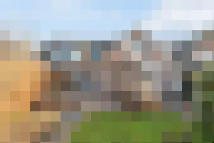 Torenvalk 43 Raalte thumbnail 49