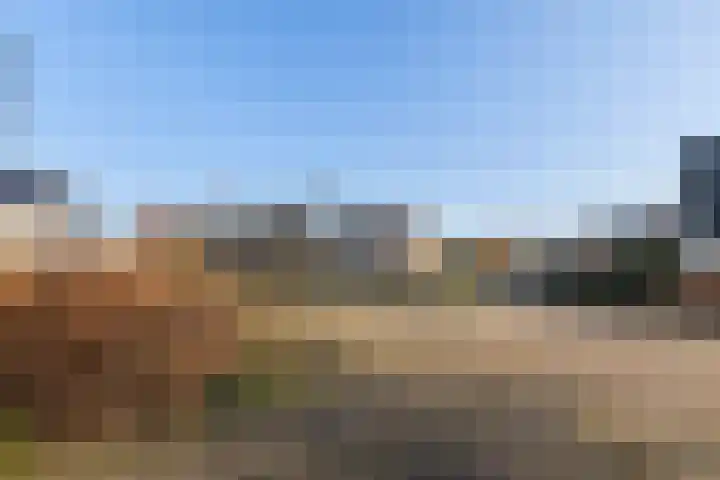 Torenvalk 43 Raalte thumbnail 5