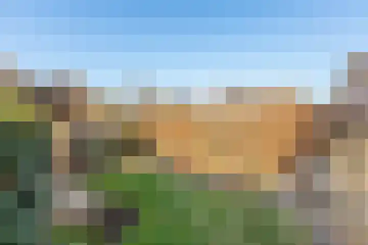Torenvalk 43 Raalte thumbnail 50