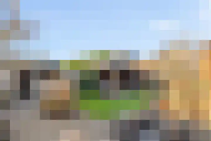 Torenvalk 43 Raalte thumbnail 54