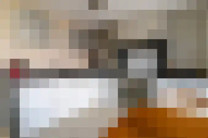 Torenvalk 44 Tollebeek thumbnail 12