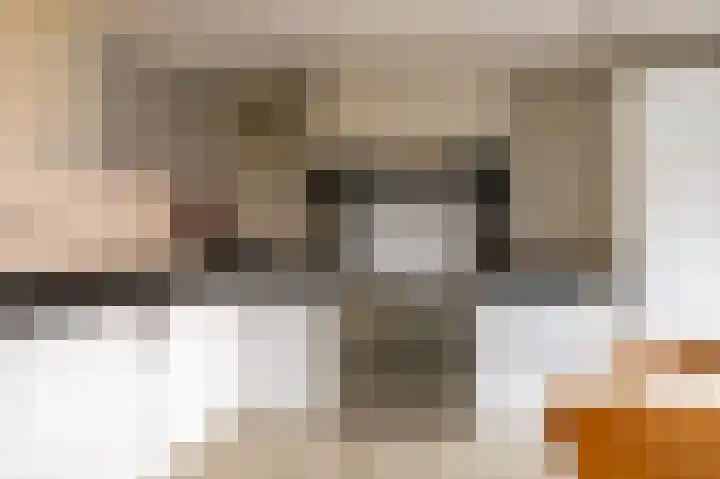 Torenvalk 44 Tollebeek thumbnail 13