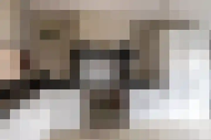 Torenvalk 44 Tollebeek thumbnail 14