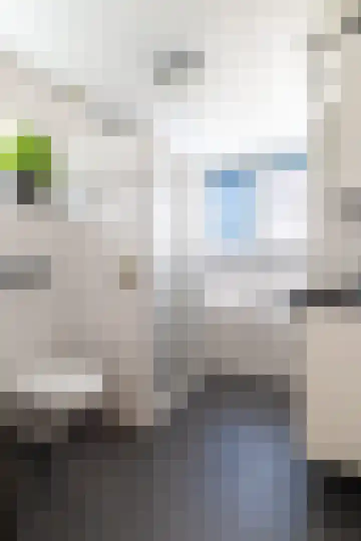 Torenvalk 44 Tollebeek thumbnail 23