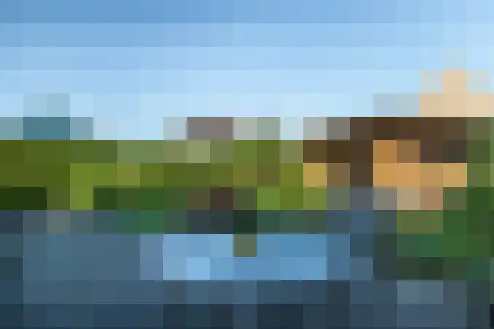 Torenvalk 44 Tollebeek thumbnail 29
