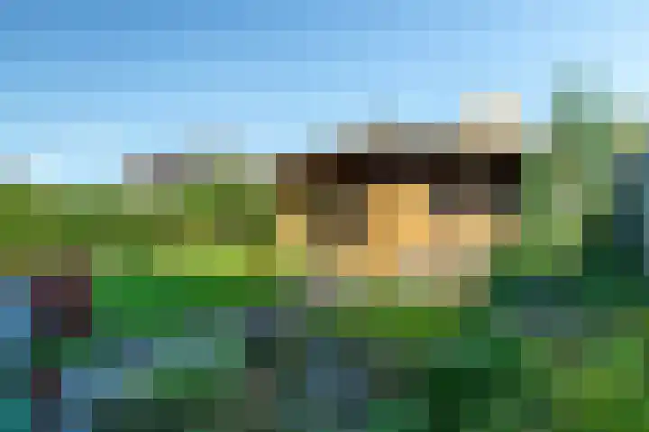 Torenvalk 44 Tollebeek thumbnail 31