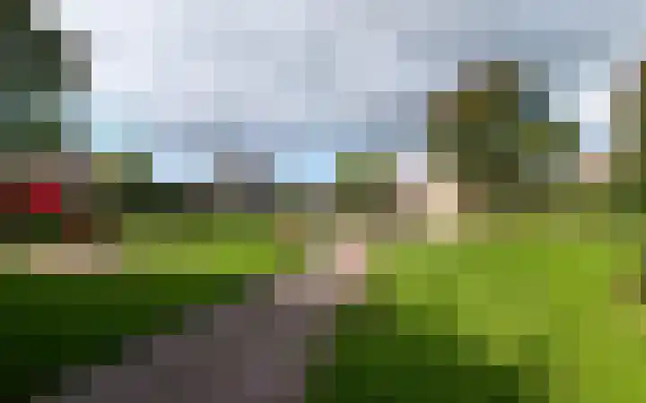 Torenvalk 44 Tollebeek thumbnail 32