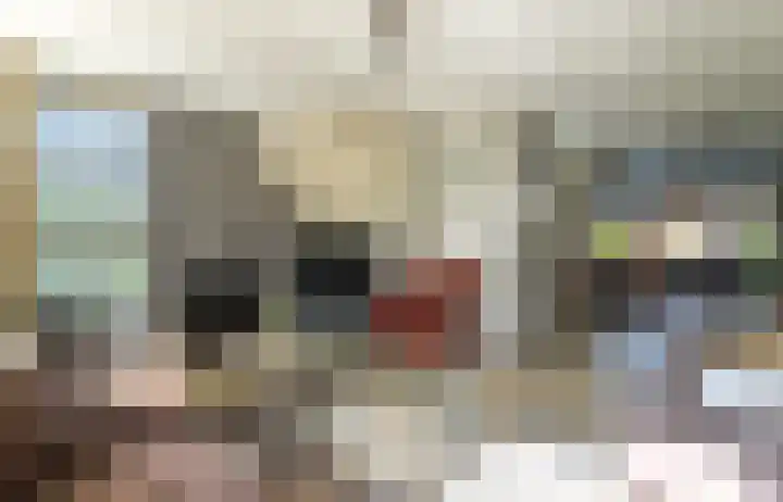 Torenvalk 44 Tollebeek thumbnail 8