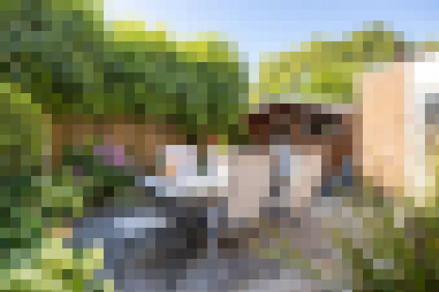 Torenvalk 46 Etten-Leur thumbnail 37