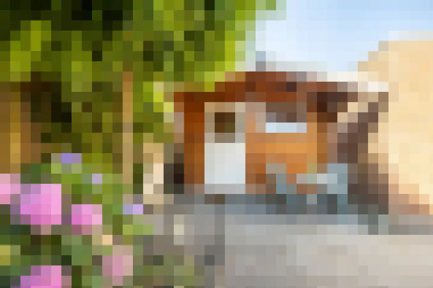 Torenvalk 46 Etten-Leur thumbnail 38