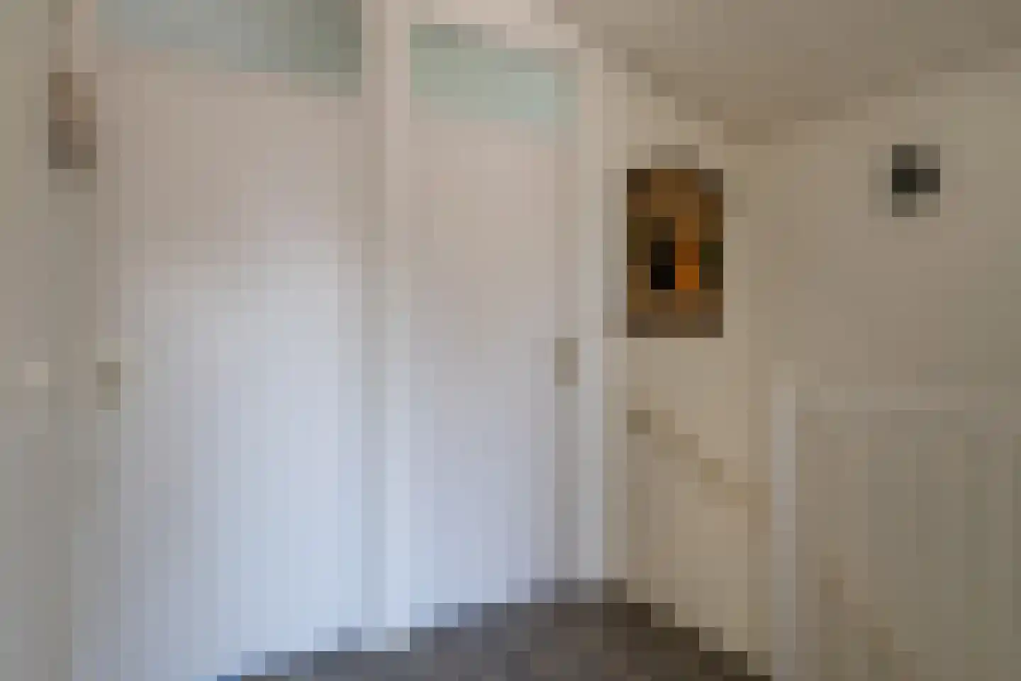 Torenvalk 51 Harmelen thumbnail 18