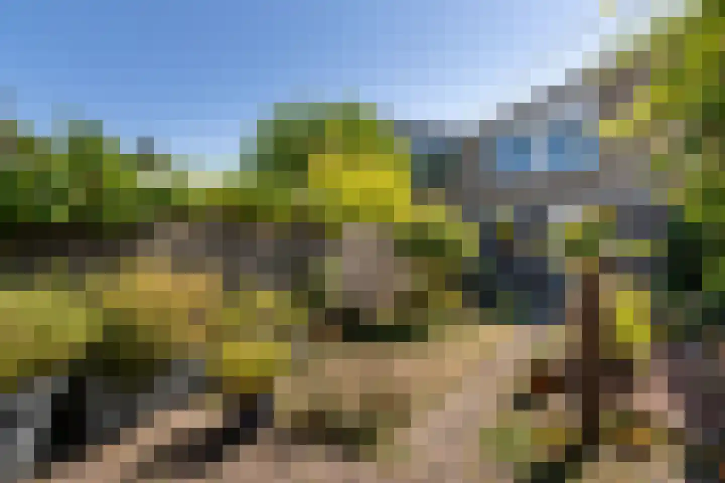 Torenvalk 51 Harmelen thumbnail 20