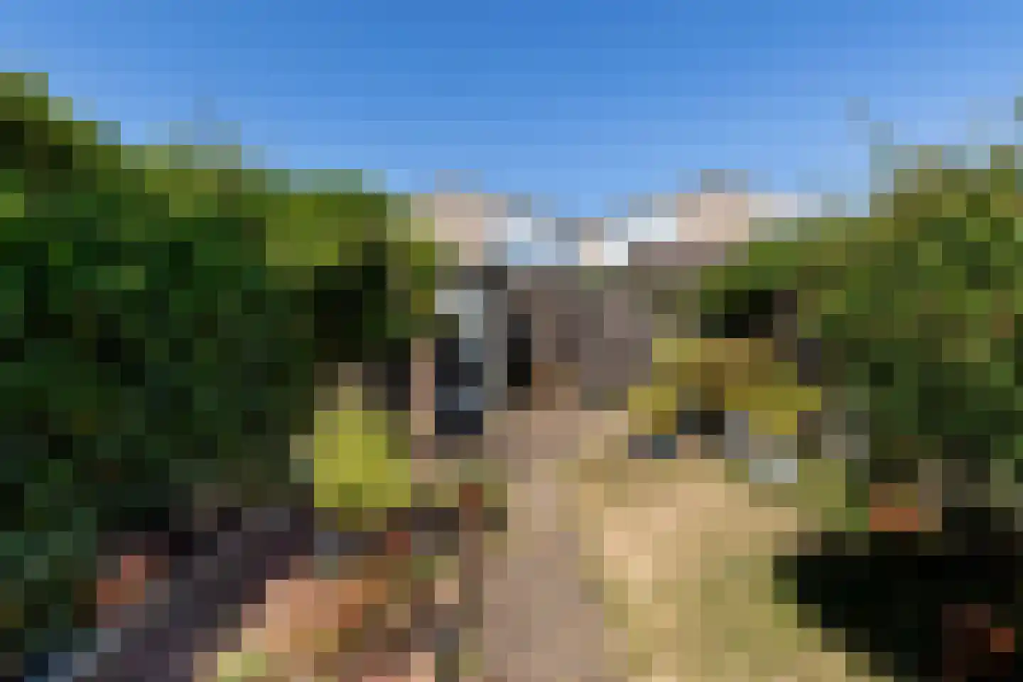 Torenvalk 51 Harmelen thumbnail 22