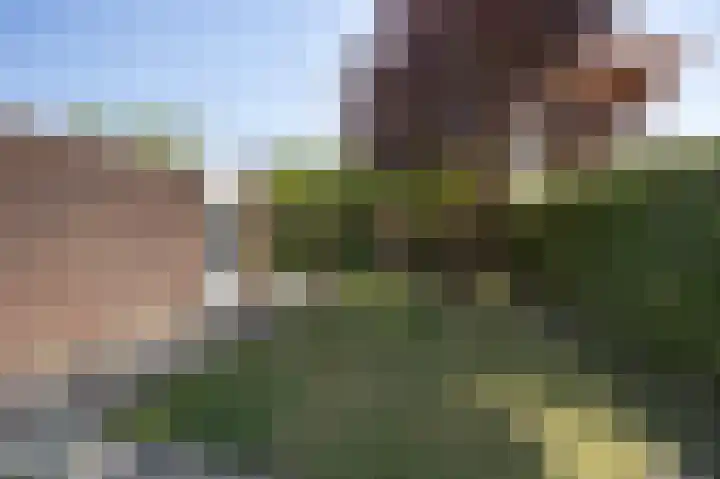 Torenvalk 52 Etten-Leur thumbnail 31