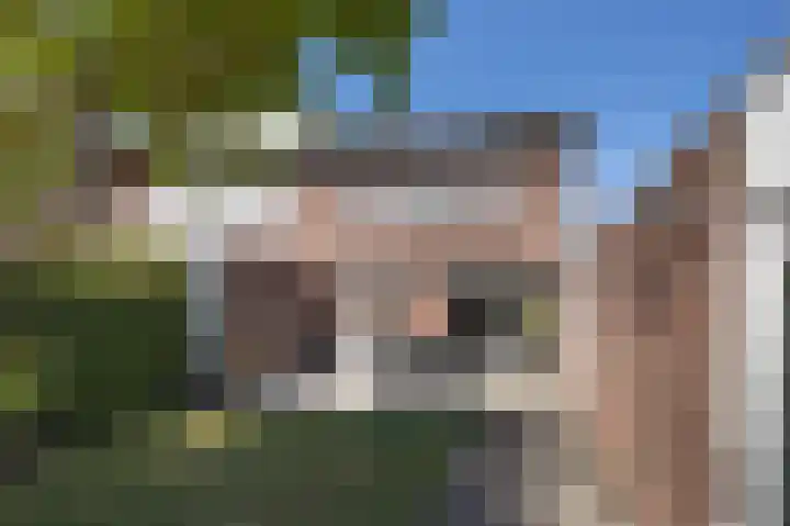 Torenvalk 52 Etten-Leur thumbnail 34