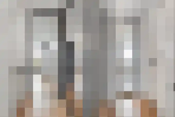 Torenvalk 55 Ommen thumbnail 12