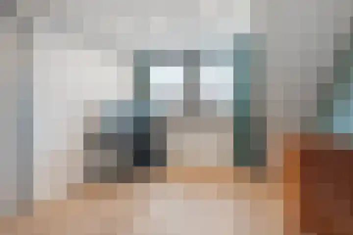 Torenvalk 55 Ommen thumbnail 23
