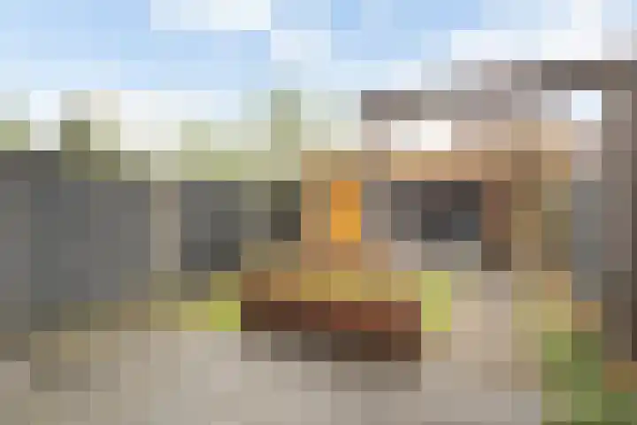 Torenvalk 55 Ommen thumbnail 24
