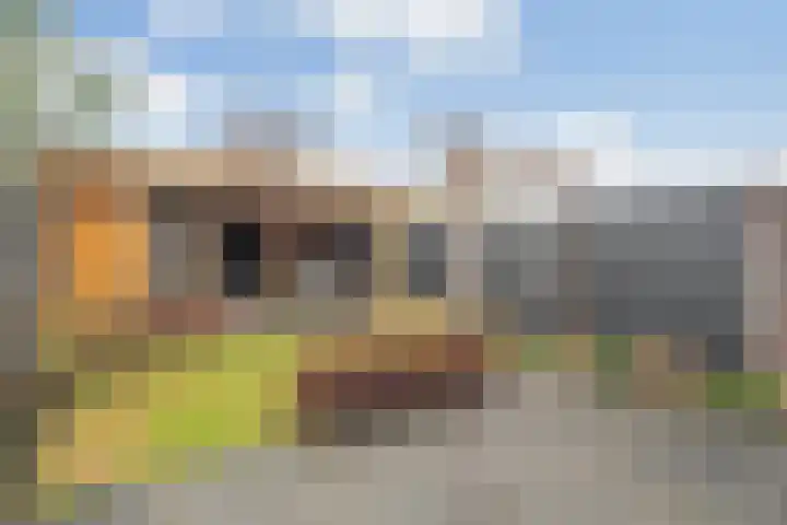 Torenvalk 55 Ommen thumbnail 25