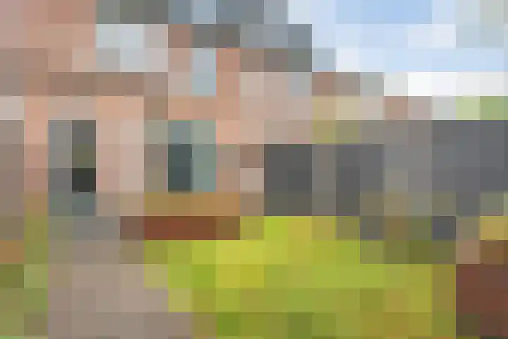 Torenvalk 55 Ommen thumbnail 28
