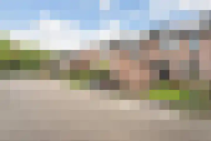 Torenvalk 55 Ommen thumbnail 30