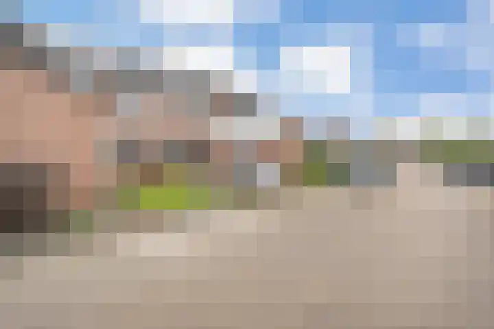 Torenvalk 55 Ommen thumbnail 31