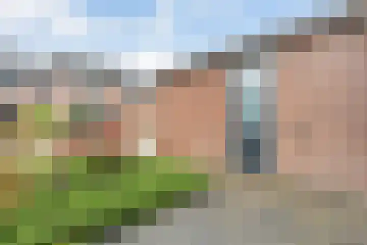 Torenvalk 55 Ommen thumbnail 32