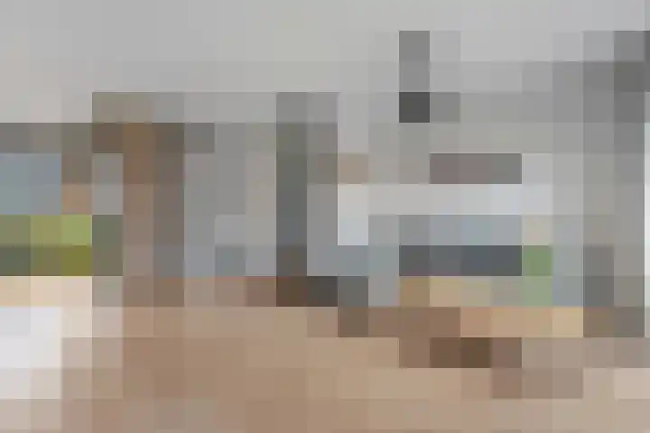 Torenvalk 55 Ommen thumbnail 4