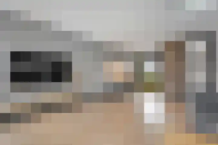 Torenvalk 55 Ommen thumbnail 5