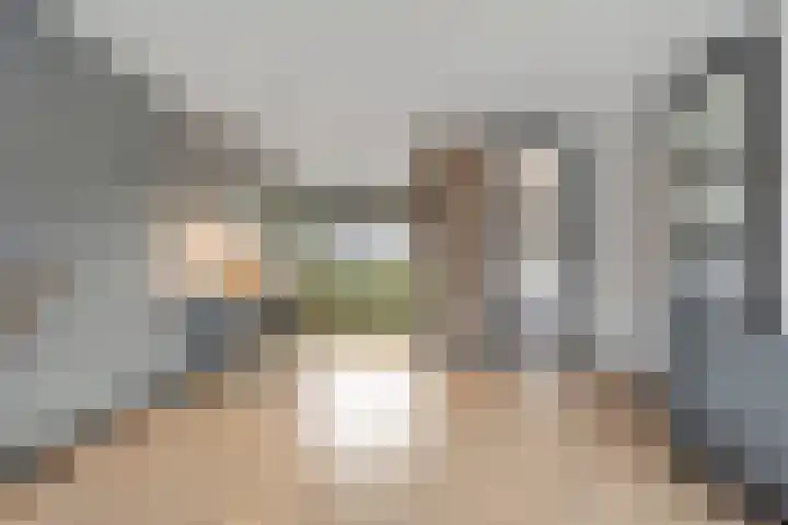 Torenvalk 55 Ommen thumbnail 6