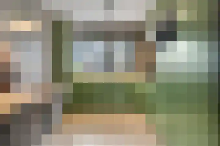 Torenvalk 55 Ommen thumbnail 8