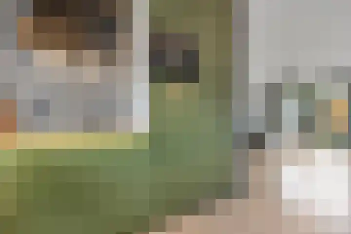 Torenvalk 55 Ommen thumbnail 9