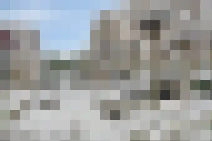 Torenvalk 61 Bunschoten-Spakenburg thumbnail 44