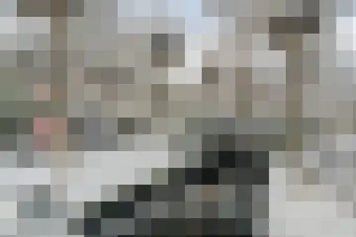 Torenvalk 61 Bunschoten-Spakenburg thumbnail 46