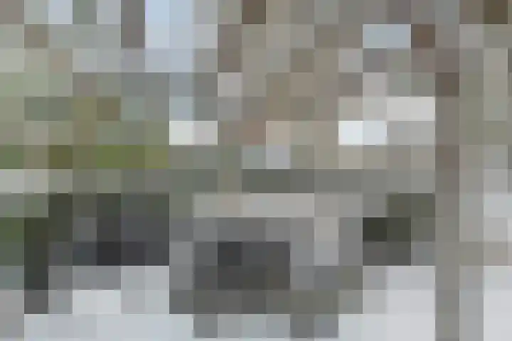 Torenvalk 61 Bunschoten-Spakenburg thumbnail 48