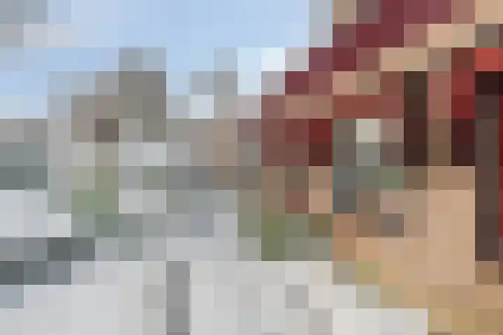 Torenvalk 61 Bunschoten-Spakenburg thumbnail 51