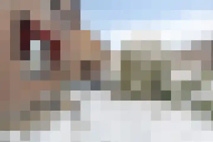 Torenvalk 61 Bunschoten-Spakenburg thumbnail 52
