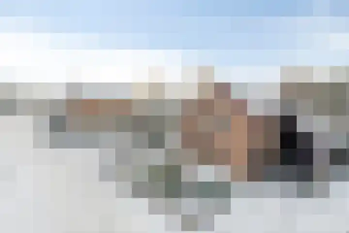 Torenvalk 61 Bunschoten-Spakenburg thumbnail 61