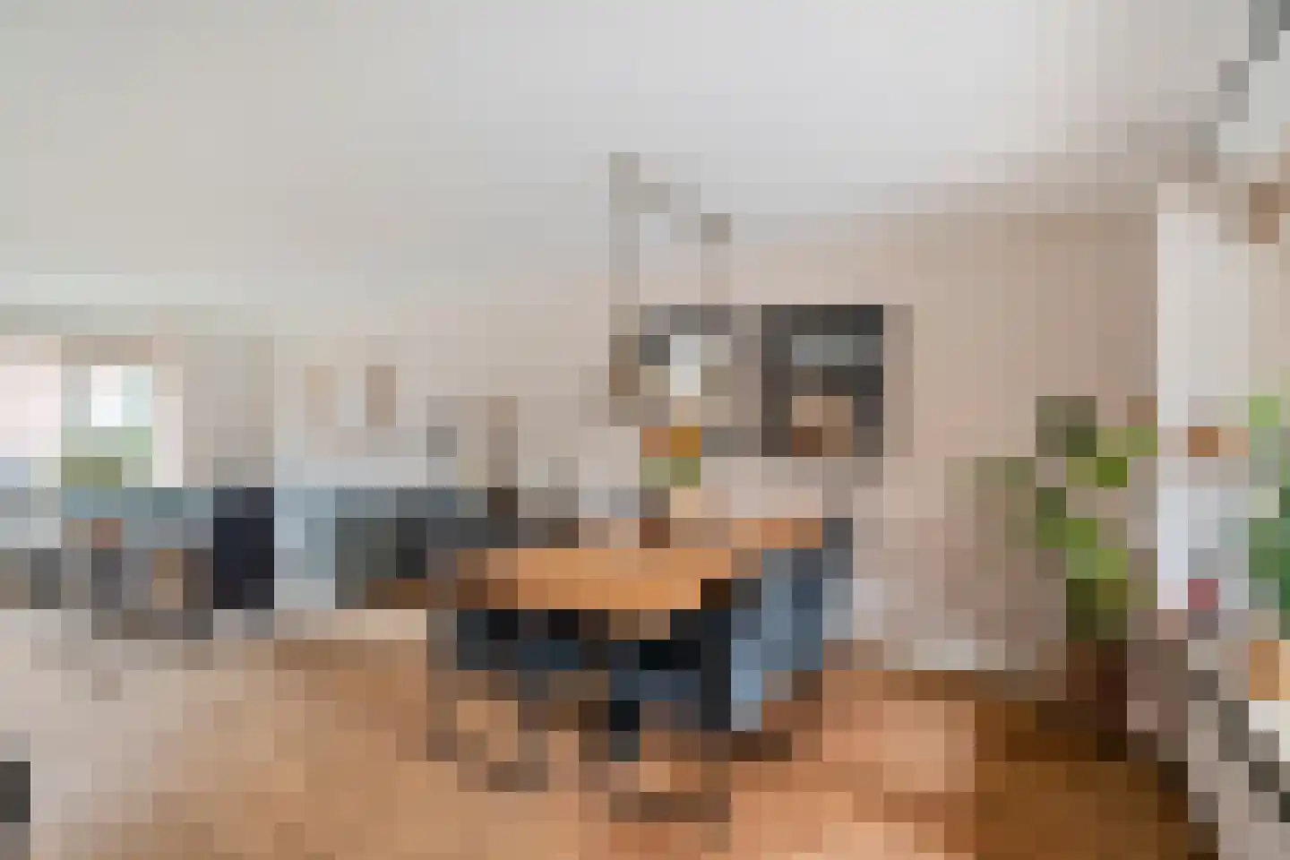 Torenvalk 64 Bunschoten-Spakenburg thumbnail 13