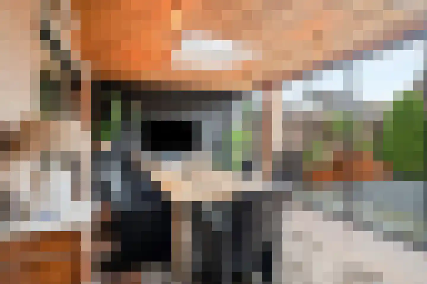 Torenvalk 64 Bunschoten-Spakenburg thumbnail 19